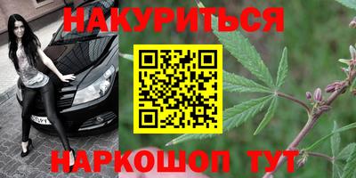 прущие грибы Мариинск