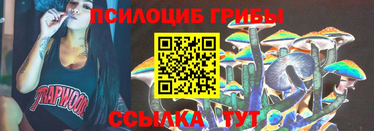 Псилоцибиновые грибы GOLDEN TEACHER Тулун
